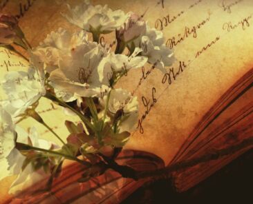 a-book-g05fba0b54_1920