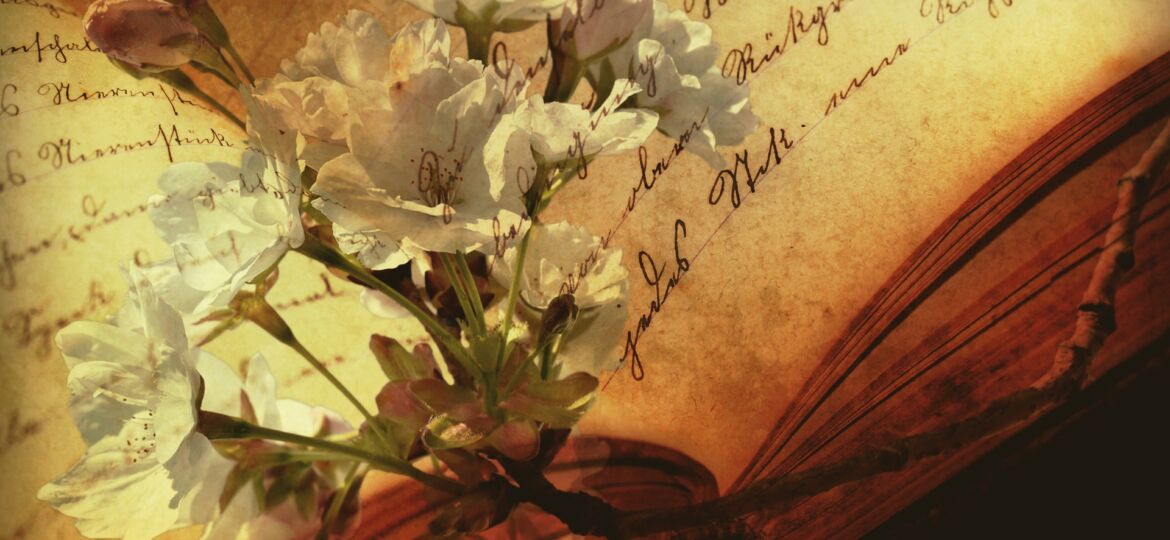 a-book-g05fba0b54_1920